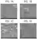 Fig. 02 - Oriented piezoelectric film, method for producing the oriented piezoelectric film, and liquid dispensing head