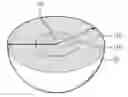 Fig. 01 - POSITIVE ELECTRODE ACTIVE MATERIAL AND SECONDARY BATTERY COMPRISING THE SAME