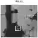 Fig. 16 - Cathode active material for lithium secondary battery and lithium secondary battery including the same