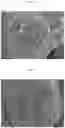 Fig. 02 - Positive electrode active material particle powder for non-aqueous electrolyte secondary battery, method for manufacturing same, and non-aqueous electrolyte secondary battery