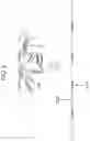 Fig. 09 - Systems, structures and materials for electrochemical device thermal management
