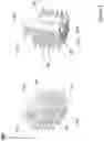 Fig. 02 - LASER ASSEMBLY