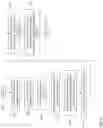 Fig. 07 - Accelerated compression/decompression including predefined dictionary