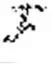 Fig. 02 - Measurement apparatus of vectorial optical fields