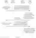 Fig. 33 - Method and system for updating certificate issuer public key, and related device