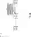 Fig. 02 - BIT INDEX EXPLICIT REPLICATION (BIER) PENULTIMATE HOP POPPING