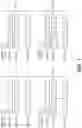 Fig. 02 - Sliding window based non-busy looping mode in cloud computing