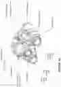Fig. 02 - Fusion night vision system