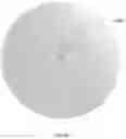 Fig. 08 - METHOD AND APPARATUS FOR PREDICTIVE CODING OF 360-DEGREE VIDEO DOMINATED BY CAMERA MOTION
