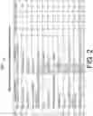 Fig. 03 - Indication of additional security capabilities using NAS signaling in 5G mobile communications