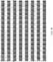 Fig. 06 - VARIABLE TIME DIVISION MULTIPLEXING OF ELECTRIC FIELD MODES FOR ZONAL MICROWAVE COOKING