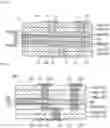 Fig. 02 - Multilayer substrate