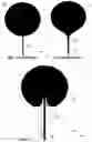 Fig. 02 - Stretchable structure comprising a conductive path and a method for manufacturing the structure