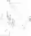 Fig. 02 - Locating device