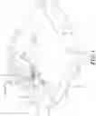 Fig. 02 - Locating device