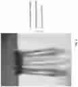 Fig. 09 - Peroxyformic acid compositions for membrane filtration cleaning in energy services