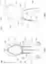Fig. 03 - WORKOUT GARMENT
