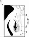 Fig. 03 - COSMETIC TOOL WITH ROLLING APPLICATOR