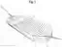 Fig. 02 - INFLATABLE HAMMOCK