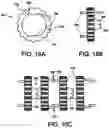 Fig. 16 - APPARATUS AND METHOD FOR ENDOSCOPIC COLECTOMY