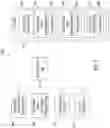 Fig. 05 - System and method for biometric-based spatial categorization