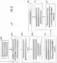 Fig. 08 - System and method for biometric-based spatial categorization