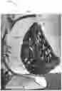 Fig. 01 - Multisensory technology for stress reduction and stress resilience