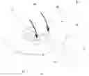 Fig. 01 - Surface electrode having a mounting element for a magnetic sensor