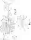 Fig. 09 - Biopsy device having integrated vacuum