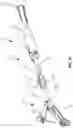 Fig. 09 - Laparoscopic suturing system