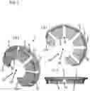 Fig. 03 - Artificial lens capsule