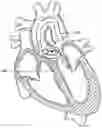 Fig. 01 - Method of Treating a Patient Using a Retrievable Transcatheter Prosthetic Heart Valve