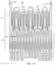 Fig. 49 - Methods and apparatus for delivering a prosthetic valve to a beating heart