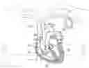 Fig. 01 - Device for treating regurgitation of tricuspid and implantation method therefor