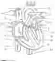 Fig. 02 - Device for treating regurgitation of tricuspid and implantation method therefor