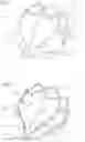 Fig. 02 - Stented valve
