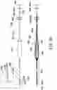 Fig. 33 - DELIVERY DEVICES AND METHODS FOR GASTROINTESTINAL IMPLANTS