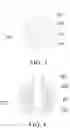Fig. 04 - Intestinal barrier sleeve release system