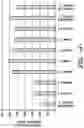 Fig. 06 - Multi-Layer Wound Care Device Having Absorption and Fluid Transfer Properties
