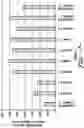 Fig. 07 - Multi-Layer Wound Care Device Having Absorption and Fluid Transfer Properties