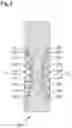 Fig. 09 - Package for absorbent articles forming a three-dimensional basin