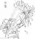 Fig. 04 - Surgical frame and method for use thereof facilitating articulatable support for a patient during surgery