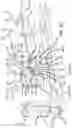 Fig. 08 - Surgical frame and method for use thereof facilitating articulatable support for a patient during surgery