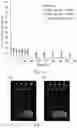 Fig. 13 - Synthetic polypeptides and uses thereof