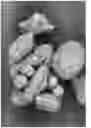 Fig. 07 - Oxidized cellulose microspheres