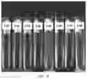 Fig. 15 - Aggregating microparticles for medical therapy