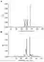 Fig. 02 - Method for preparing medicine with dicaffeoylquinic acid for treating gout