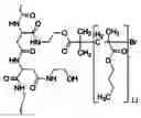Fig. 01 - Nanoparticles for controlled release of Sorafenib and Sorafenib derivatives