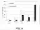 Fig. 07 - Nanoparticles for controlled release of Sorafenib and Sorafenib derivatives