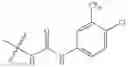 Fig. 64 - Nanoparticles for controlled release of Sorafenib and Sorafenib derivatives